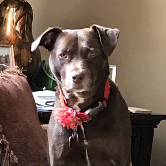 Meet your Posher, Cathy - Picture 1 of 1